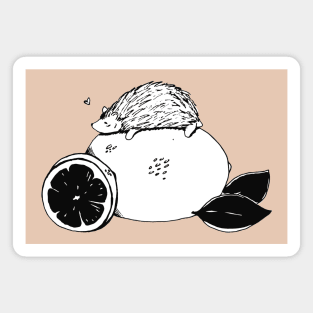 Hedgehog Magnet